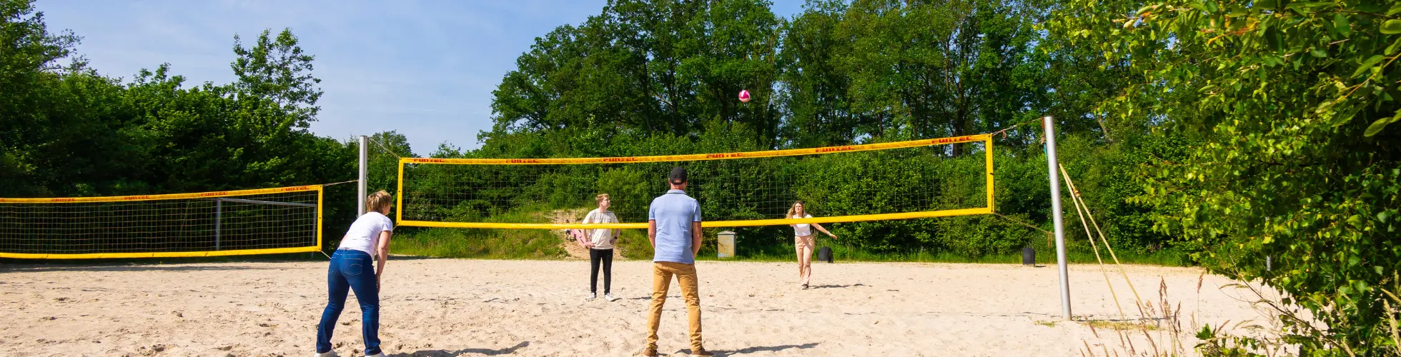 Volleybalveld Vliersche Veld